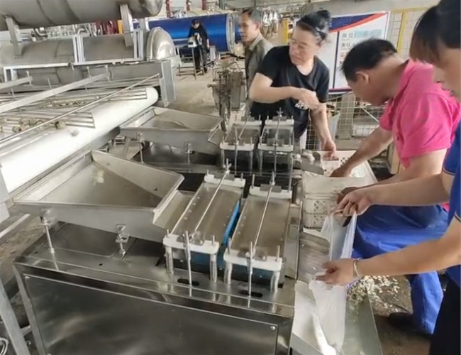 鵪鶉蛋蒸煮剝殼線試機成功